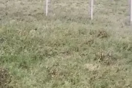 Land For Sale, Non Agricultural, Lisi lake
