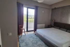 House For Rent, 8 Room, Tbilisi, Digomi 1 - 9