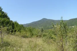 იყიდება მიწის ნაკვეთი, სასოფლო - სამეურნეო, საგარეჯო