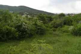იყიდება მიწის ნაკვეთი, სასოფლო - სამეურნეო, საგარეჯო