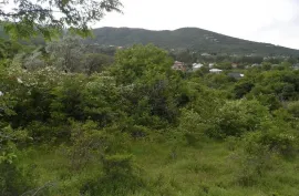 იყიდება მიწის ნაკვეთი, სასოფლო - სამეურნეო, საგარეჯო