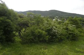 იყიდება მიწის ნაკვეთი, სასოფლო - სამეურნეო, საგარეჯო