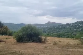 იყიდება მიწის ნაკვეთი, სასოფლო - სამეურნეო, კოჯორი