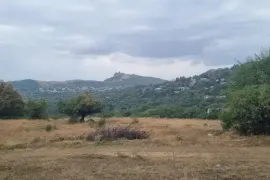 იყიდება მიწის ნაკვეთი, სასოფლო - სამეურნეო, კოჯორი