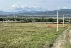 იყიდება მიწის ნაკვეთი, სასოფლო - სამეურნეო, წეროვანი