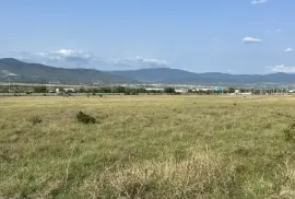 იყიდება მიწის ნაკვეთი, სასოფლო - სამეურნეო, წეროვანი