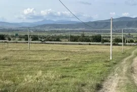 იყიდება მიწის ნაკვეთი, სასოფლო - სამეურნეო, წეროვანი