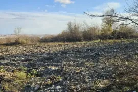 Land For Sale, Agricultural, Nasaguri
