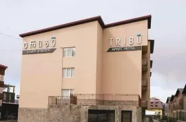 Apartment for sale, 1 Room, New building, Borjomi , Bakuriani