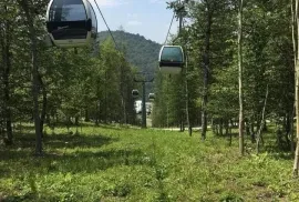 Apartment for sale, 1 Room, New building, Borjomi , Bakuriani