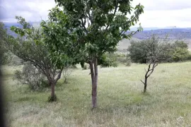 Land For Sale, Agricultural, Khashmi