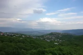 Продается Земля, Сельскохозяйственные, Цклулети