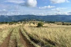 Land For Sale, Agricultural, Tsqluleti