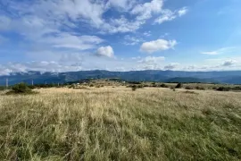 Продается Земля, Сельскохозяйственные, Цклулети