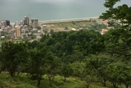 Land For Sale, Agricultural, Gonio