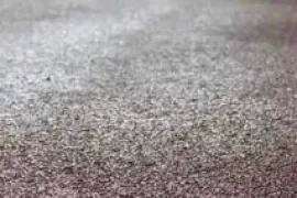 სტიაშკის დასხმა