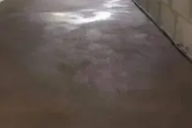 სტიაშკის დასხმა
