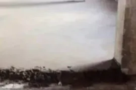 სტიაშკის დასხმა