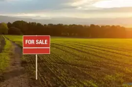 Land For Sale, Navazi