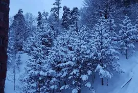 Аренда, 2 Kомнатная, Новостройка, Боржомский район, Бакуриани