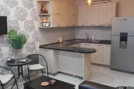 Apartment for sale, 2 Room, New building, Tbilisi, Didube