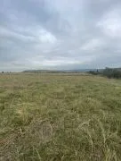 Land For Sale, Orkhevi