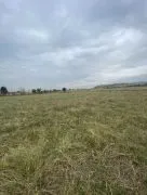 Land For Sale, Orkhevi