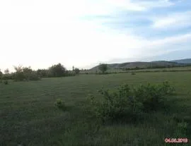 Land For Sale, Orkhevi