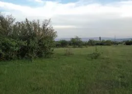 Land For Sale, Orkhevi