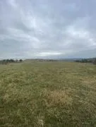 Land For Sale, Orkhevi