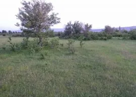 Land For Sale, Orkhevi