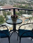 Daily Apartment Rent, 2 Room, New building, Tbilisi, Didube