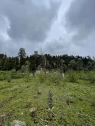 Land For Sale, Makhvilauri