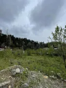 Land For Sale, Makhvilauri