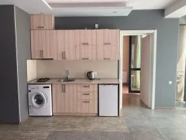 For Rent, 2 Room, New building, Borjomi , Bakuriani