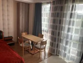 Daily Apartment Rent, 1 Room, New building, Borjomi , Bakuriani