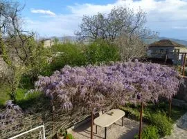 იყიდება სახლი, 16 ოთახიანი, მცხეთა, მისაქციელი