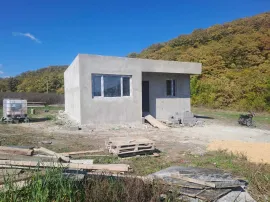 House For Sale, 3 Room, Dusheti , Bazaleti 