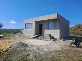 House For Sale, 3 Room, Dusheti , Bazaleti 