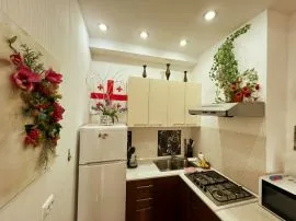 Daily Apartment Rent, 2 Room, New building, Tbilisi, Mtatsminda