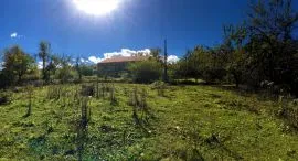 Land For Sale, Agricultural, Pipileti