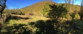 Land For Sale, Agricultural, Pipileti