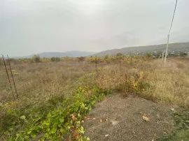 Land For Sale, Bitsmendi