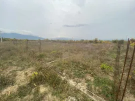 Land For Sale, Bitsmendi