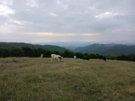 Продается Земля, Нукриани