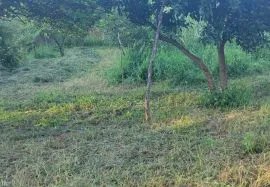 Land For Sale, Agricultural, Gonio