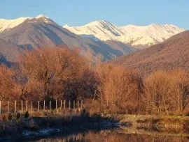 იყიდება მიწის ნაკვეთი, სასოფლო - სამეურნეო, ნაფარეული