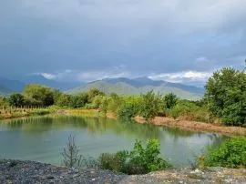 იყიდება მიწის ნაკვეთი, სასოფლო - სამეურნეო, ნაფარეული