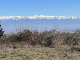 იყიდება მიწის ნაკვეთი, საინვესტიციო, გურჯაანი