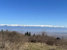 იყიდება მიწის ნაკვეთი, საინვესტიციო, გურჯაანი